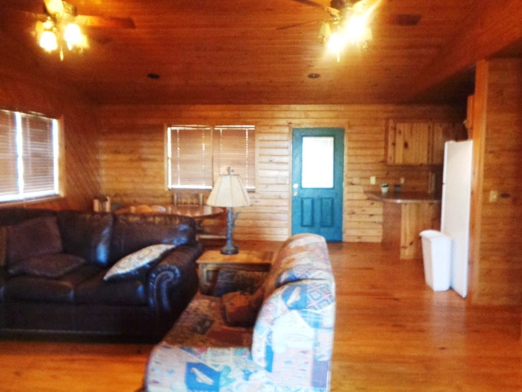 Cabin 1 Livingroom View 2